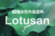 Lotusan　（ロータソン）